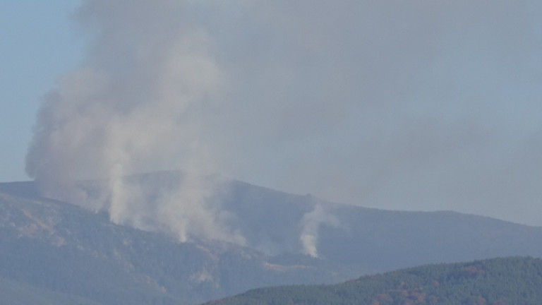 200 души, горски служители, доброволци и пожарникари гасят пожара в