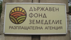 ДФЗ отпуска помощ по "de minimis" на производителите на оранжерийни зеленчуци