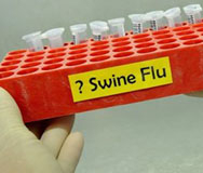 Откраднаха проби за свински грип от микробус в Разград