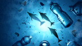 Микропластмасата, рибите и как тя променя морските обитатели