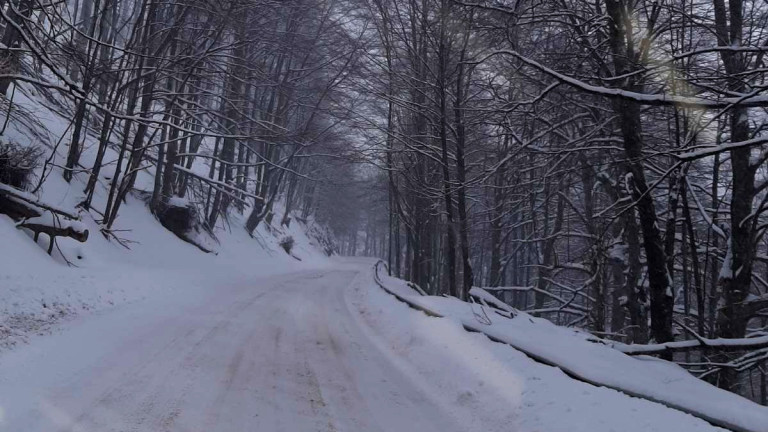 Сняг и вятър затвориха пътя до х. "Алеко" на Витоша