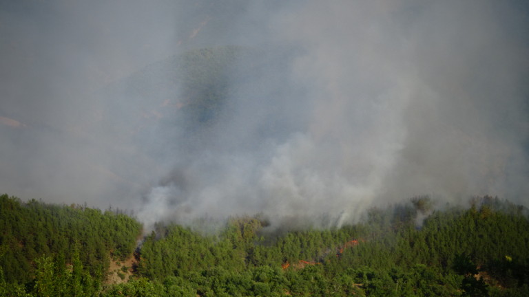 250 души се борят с пожара в Стара Кресна