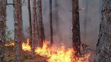 Множество пожари остават активни - най-горещо е в Отец Паисиево
