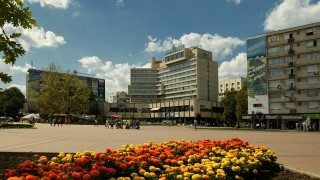 В Добрич недоволстват заради изсичането на липи в центъра
