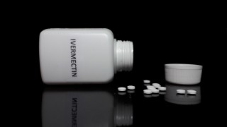 Само за 12 месеца едно достъпно антипаразитно лекарство си проправи път от скромно