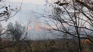 Пожар се е разгорял на територията на Турция но само