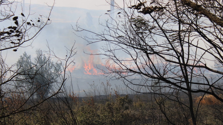 Изображение 675667