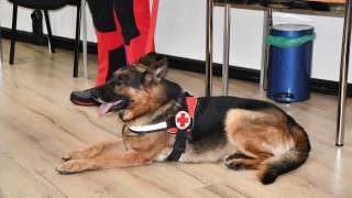 Когато настъпи зимният сезон у нас почти всеки един човек