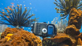 Как да превърнем телефона си в подводна камера