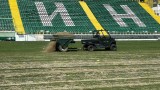  Подменят незабавно тревата на стадиона на Пирин 