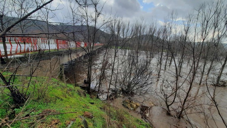 Изображение 747267