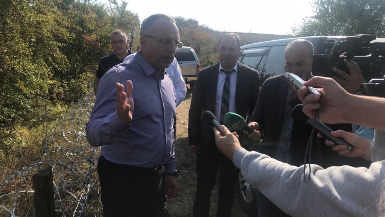 Изображение 377467