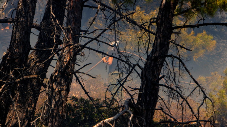 Изображение 627567