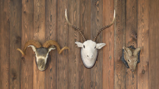 Горски служители отговарящи за опазването и охраната на горите и