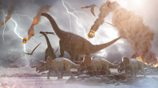 По-различната теория за изчезването на динозаврите