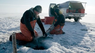 Зимата може да е изключително красив сезон но идва със