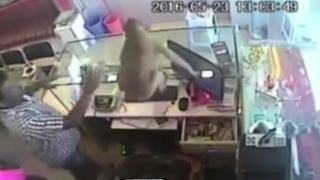 Маймуна ограби магазин за бижута (Видео)