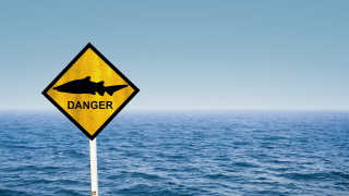 По това време на годината се появяват все повече новинарски