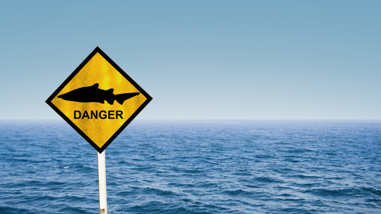 Най-опасните плажове с акули в света