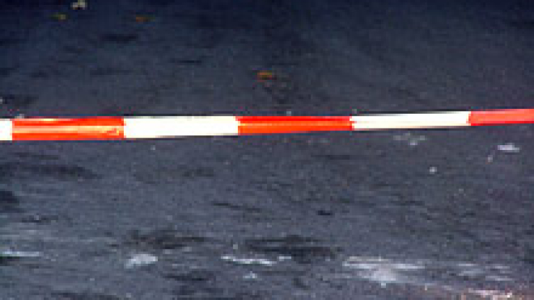 Изображение 8067