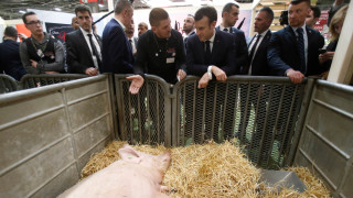 Макрон възстановява популярността си, подкрепата за "жълтите жилетки" спада