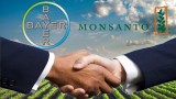 Bayer ще получи "зелена светлина" за придобиването на Monsanto