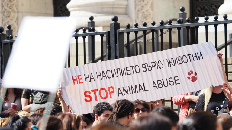 Национален протест в защита на животните отново се събра пред Съдебната палата в София