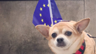 Европа е на автопилот Преобладава усещането че статуквото в Европа