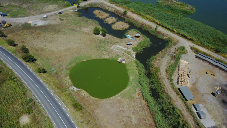 Изображение 319767