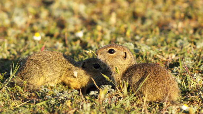 Изображение 360068