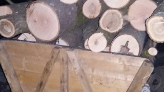Забавят доставката на дърва за огрев в Плевенско