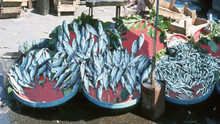 Изображение 10968