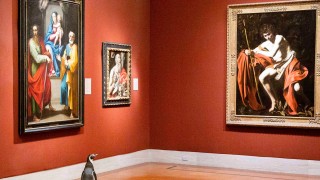 Министерството на образованието и науката ще финансира 217 училищни проекта