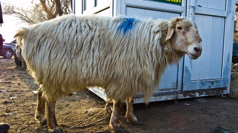 Изображение 751468