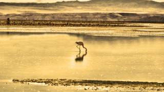 По навик чилийката Сара Плаза се усмихва Когато разказва тази