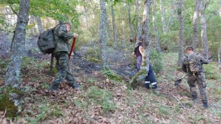 Пожарът край с. Петрово се разгоря отново, военни се включват в гасенето