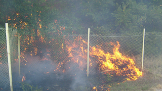 Деца запалиха гора в Благоевград 