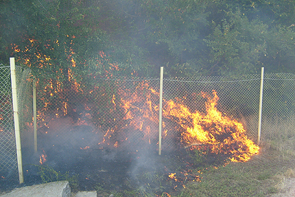 Жена изгоря при пожар в лозов масив