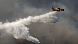 Гръцкият външен министър моли Русия за самолети за борба с пожарите