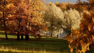 Предимно слънчев петък