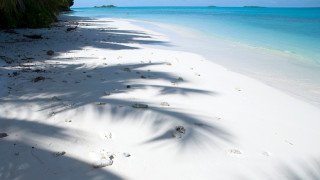 Великобритания е обявена за незаконен колониален окупатор от премиера на