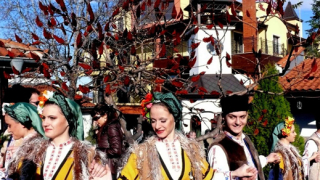 Празникът на младото вино в Брестовица