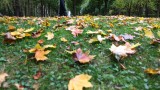 Слана и мъгли в неделя