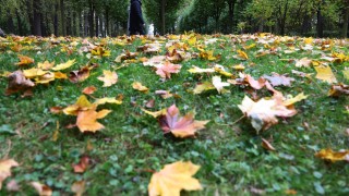 Днес над по голямата част от страната облачността ще остане значителна