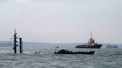 Делфините в Черно море измират, войната нанася непоправим "токсичен удар"