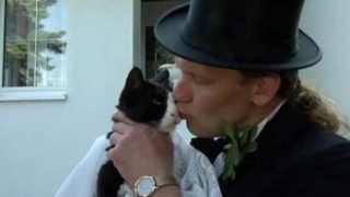 Пощальон се ожени за умиращата си котка