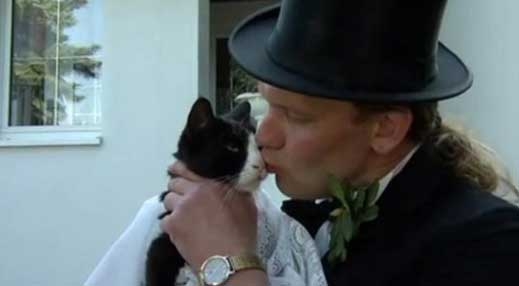 Пощальон се ожени за умиращата си котка