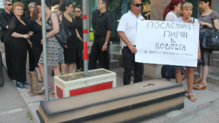 С ковчег пред вратите си осъмна Здравната каса