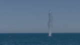 Военноморските сили унищожиха открит в Черно море дрон край Албена