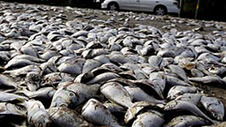 Изображение 58868